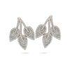 AP0462-scaled